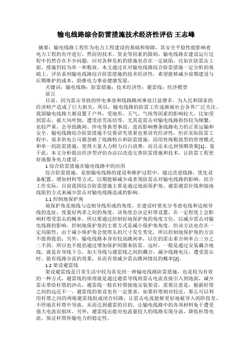 输电线路综合防雷措施技术经济性评估 王志峰
