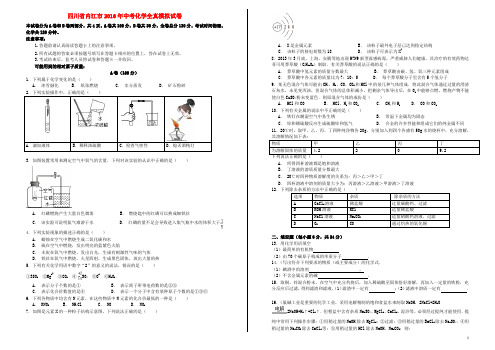 四川省内江市2016年中考化学全真模拟试卷(十七)(无答案)