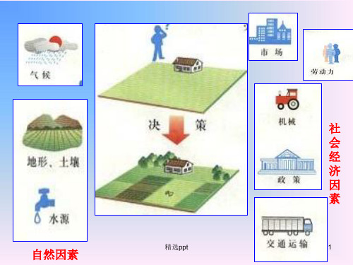 农业区位因素与地域类型ppt课件