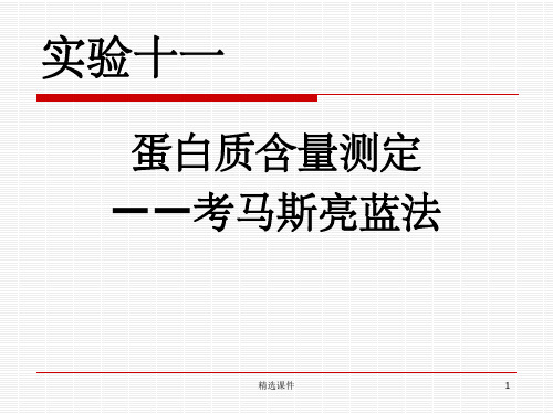 蛋白质含量测定-考马斯亮蓝法