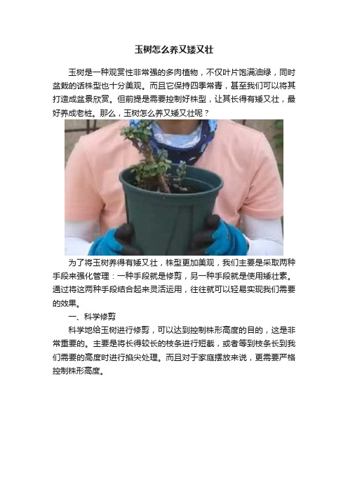 玉树怎么养又矮又壮