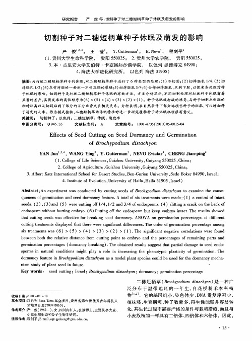 切割种子对二穗短柄草种子休眠及萌发的影响