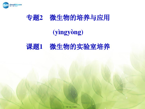 高中生物 专题二 课题1 微生物的实验室培养课件 新人教版选修1