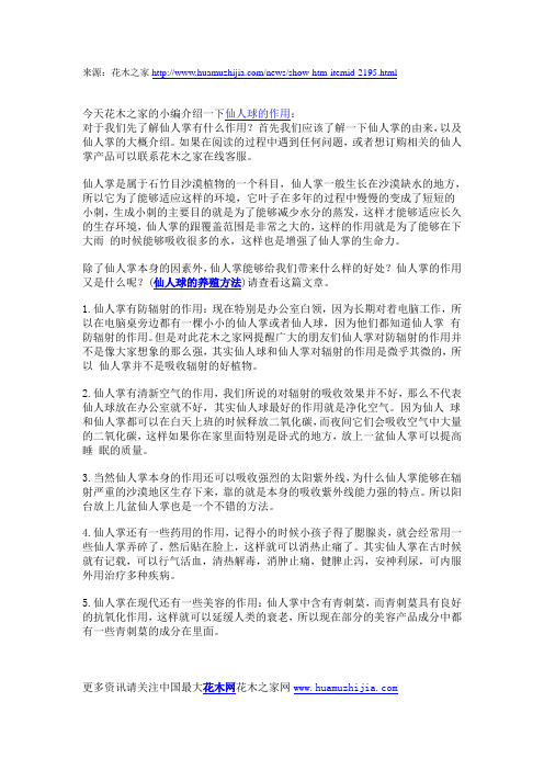 仙人球的作用