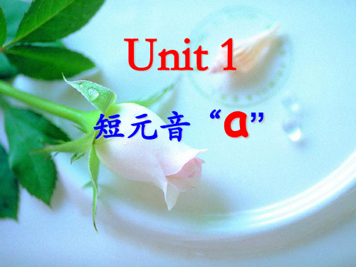 Unit1-3元音a、e、i、的发音