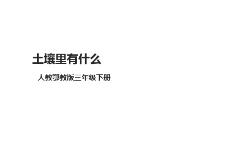 【新课标】1.1《土壤里有什么》课件(28张PPT)-小学科学科教版三年级下册