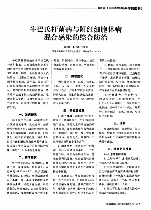 牛巴氏杆菌病与附红细胞体病混合感染的综合防治