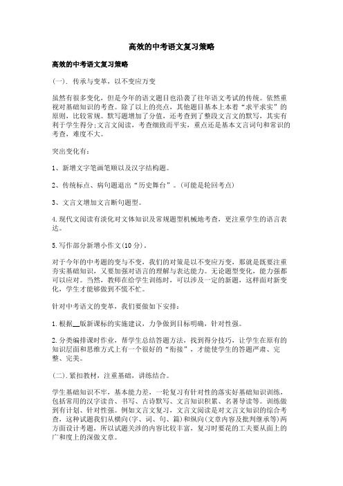 高效的中考语文复习策略