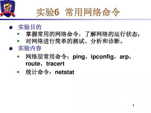实验6-网络常用命令