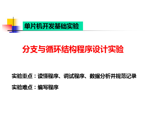 分支与循环结构程序设计实验