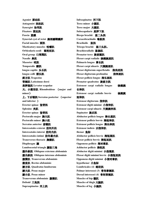 人体各部位肌肉英汉对照