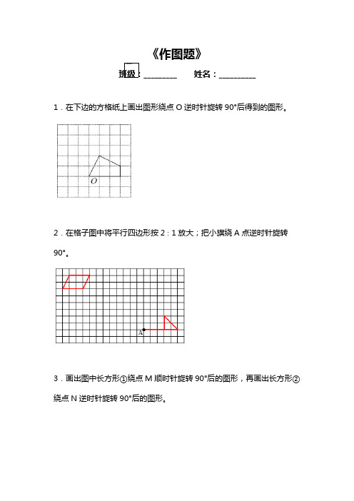 北师大版2024年六年级数学下册《作图题》专项训练卷+答案