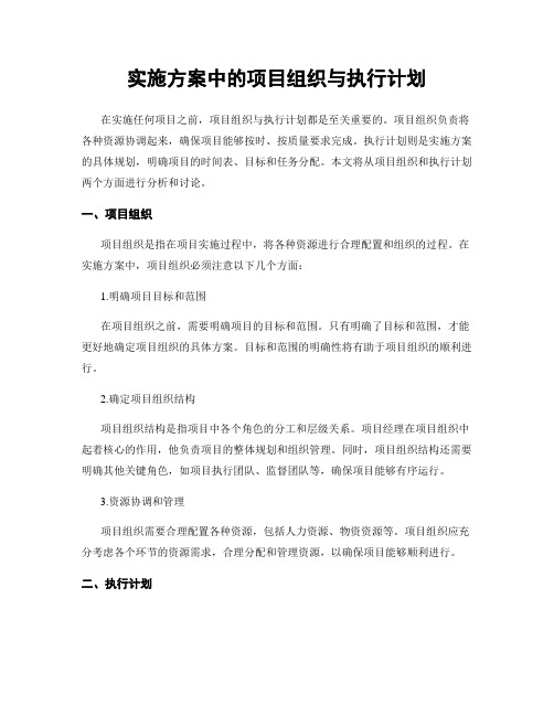 实施方案中的项目组织与执行计划