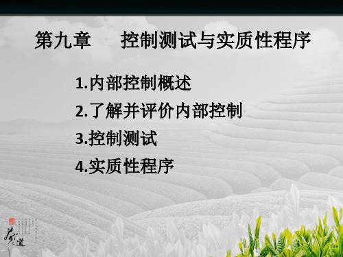 第九章 控制测试与实质性程序解读