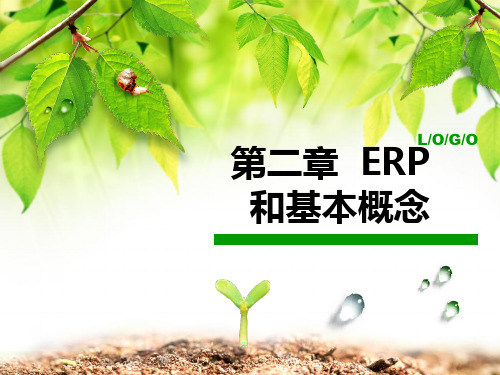 ERP相关术语和基本概念