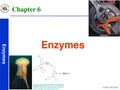 生物化学精品课程.