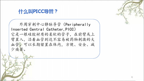 icc的使用及护理课件