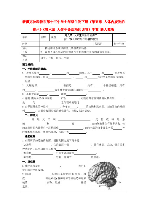 新疆克拉玛依市第十三中学七年级生物下册《第五章 人体内废物的排出》《第六章 人体生命活动的调节》