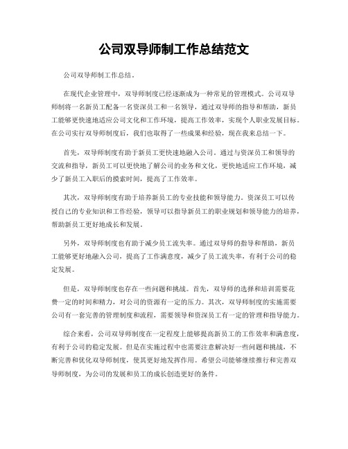 公司双导师制工作总结范文