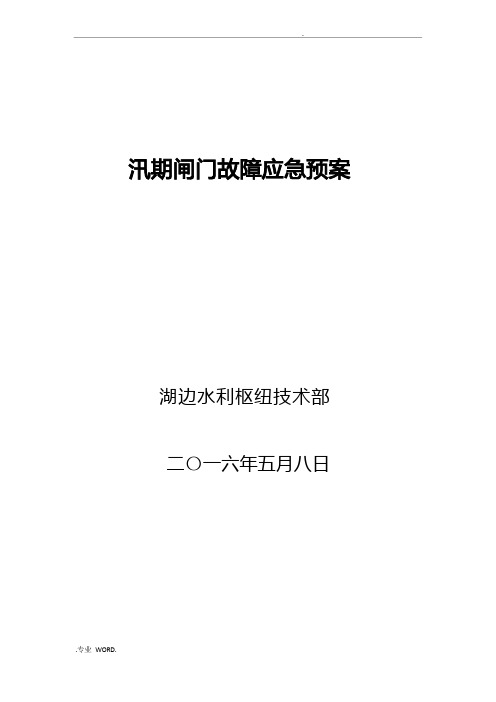 闸门手动操作应急处置预案