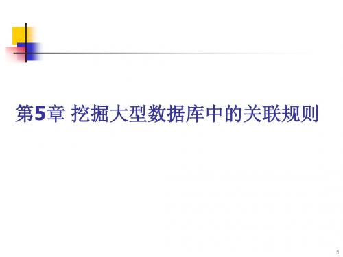 5 数据挖掘技术-大型数据库中的关联规则