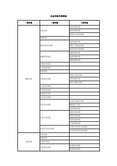 企业风险分类示例