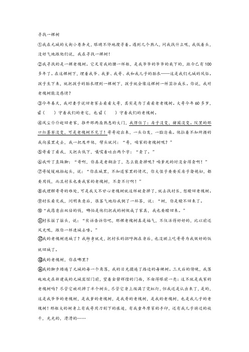 《寻找一棵树》阅读练习及答案