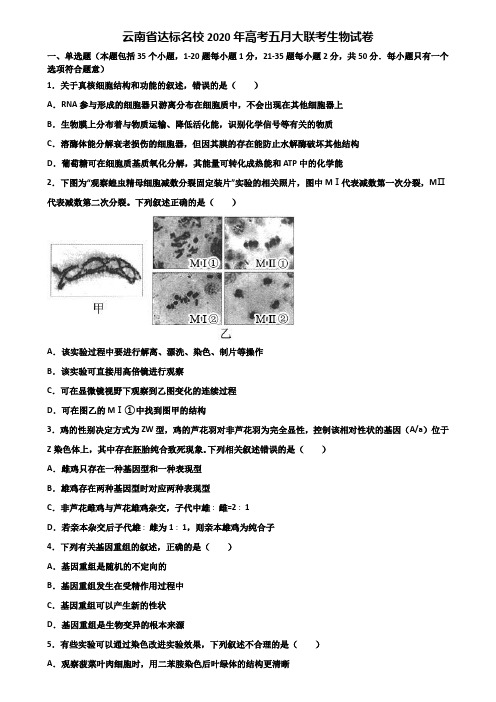 云南省达标名校2020年高考五月大联考生物试卷含解析