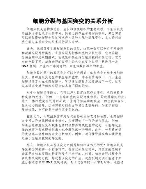 细胞分裂与基因突变的关系分析