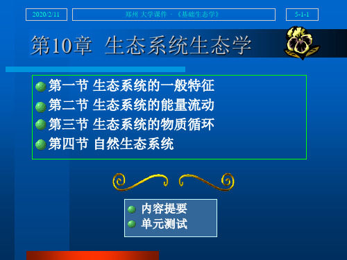 基础生态学 10生态系统一般特征