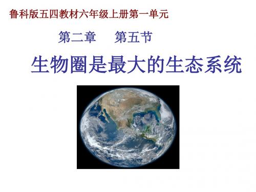 鲁科版五四教材六年级上册第一单元《生物圈是最大的生态系统》课件