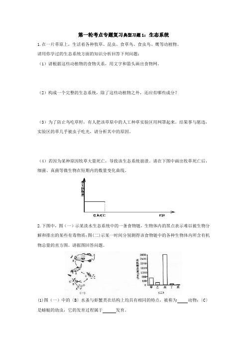 专题复习1：生态系统习题