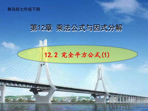 2021-2022学年青岛版七年级数学下册《12.2完全平方公式》第1课时课件课件