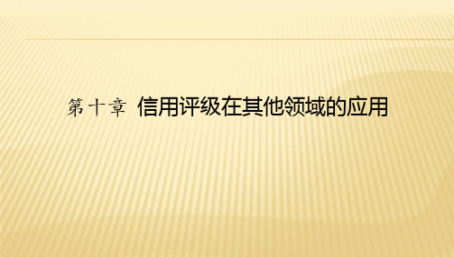 第十章  信用评级在其他领域的 《信用评级理论与实务》