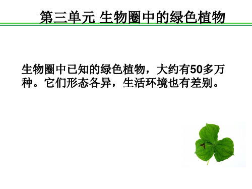 高中生物课件-3  藻类、苔藓和蕨类植物