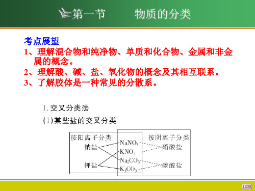 物质的组成性质和分类