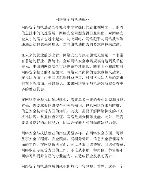 网络安全与执法就业