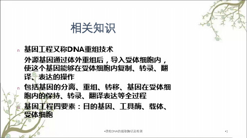 质粒DNA的提取酶切及检测课件