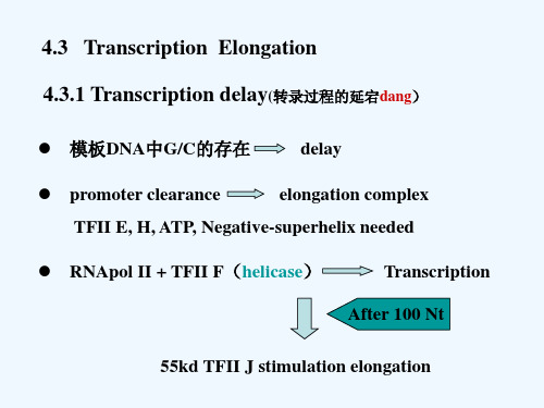 分子生物学第四章TranscriptionElongation课件