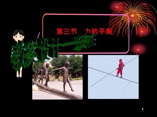 第三节 力的平衡