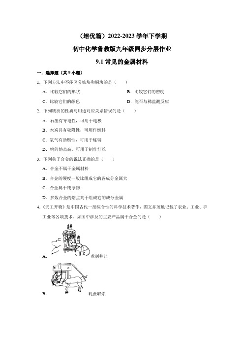 (培优篇)2022-2023学年下学期初中化学鲁教版九年级同步分层作业9