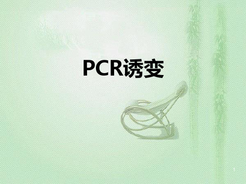 PCR诱变ppt课件