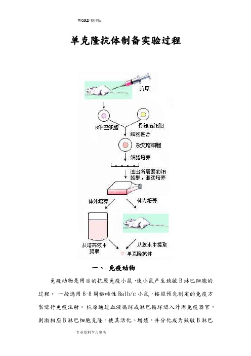 单克隆抗体制备实验过程