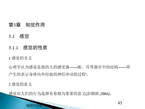 第3章    知觉作用《组织行为学》