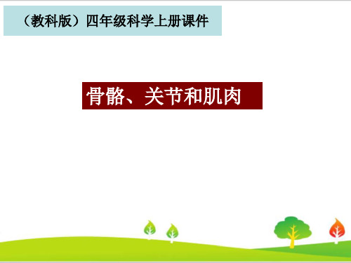 最新教科版四年级科学上册《骨骼、关节和肌肉》教学课件