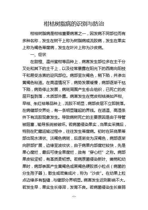 柑桔树脂病的识别与防治