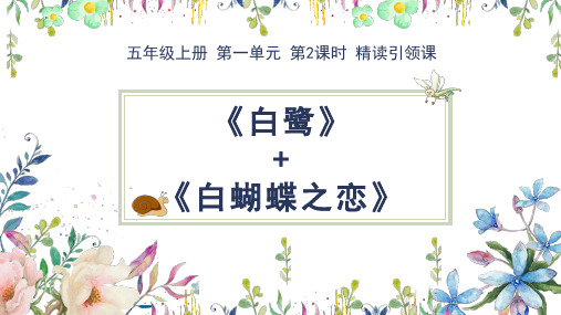 部编版五年级上册语文第2课时——精读引领课《白鹭》课件
