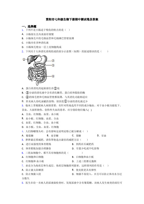 资阳市七年级生物下册期中测试卷及答案 (2)