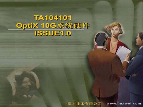 TA104101 OptiX 10G系统硬件ISSUE1[1].0