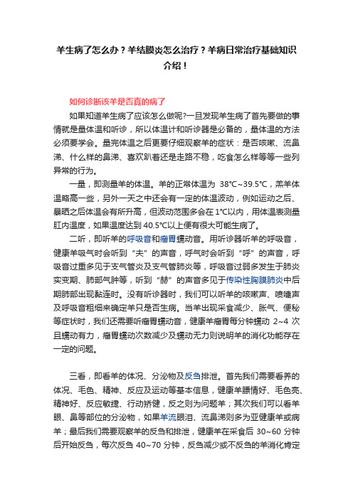 羊生病了怎么办？羊结膜炎怎么治疗？羊病日常治疗基础知识介绍！